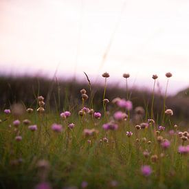 Purple Flowers sur Arthur de Rijke