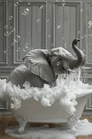 Elephant in the bathtub