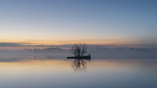 Nieuwkoopse Plassen - Sonnenaufgang