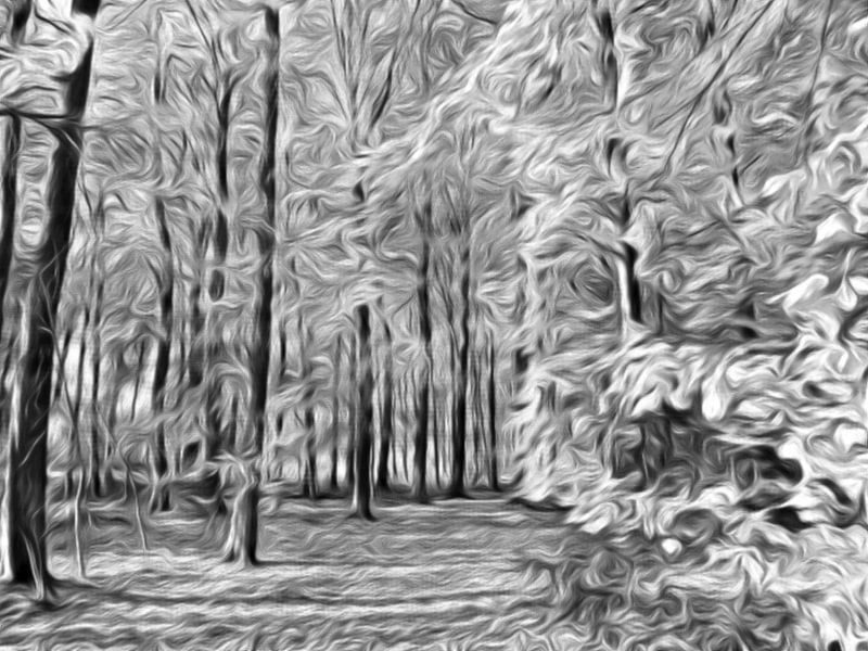digitale kunst bos in zwart wit van Joke te Grotenhuis
