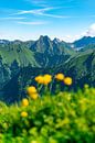 Trollenbloemen in de Allgäuer Alpen met uitzicht op Höfats van Leo Schindzielorz thumbnail