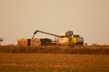 Combine harvester in the sunset by Michael Ruland