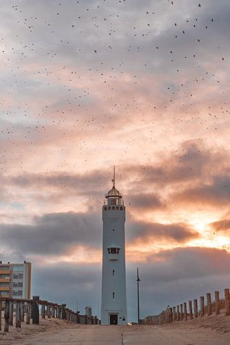 Vuurtoren Noordwijk