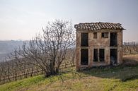 Alte Scheune und Weinberg in Piemont, Italien von Joost Adriaanse Miniaturansicht