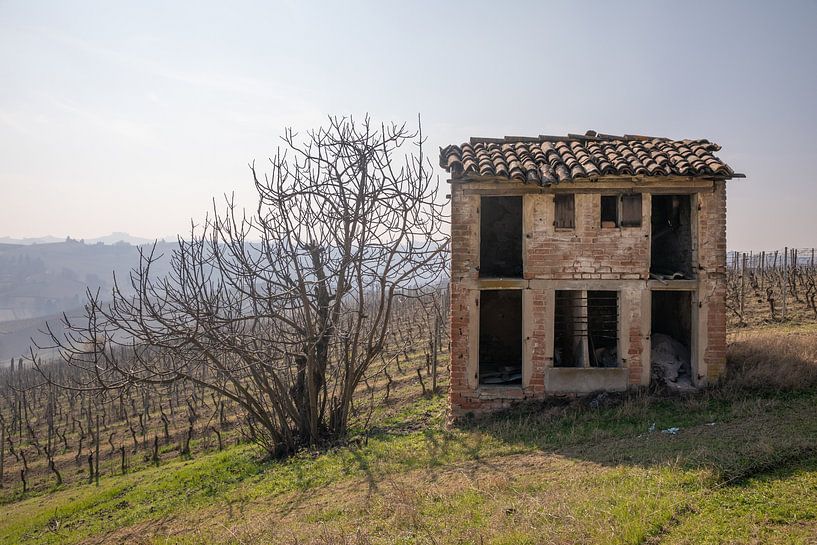 Alte Scheune und Weinberg in Piemont, Italien von Joost Adriaanse