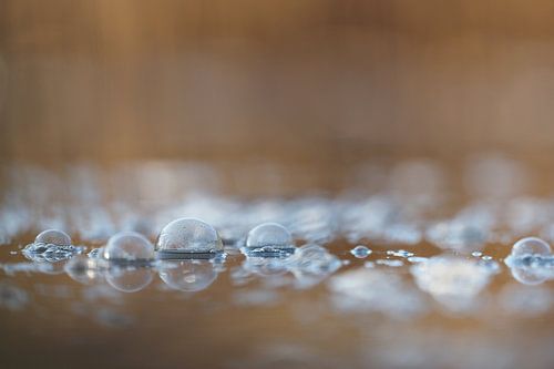 Bubbles