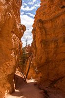 A small person among large rock formations