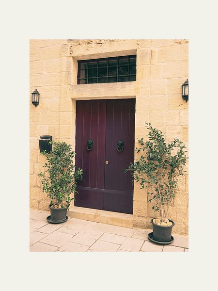 Einzigartige Haustür von @Unique