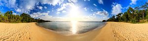 Tropisch strand 180 panorama von Dennis van de Water