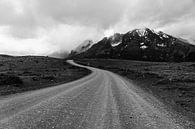Straße im Torres del Paine Nationalpark von Shanti Hesse Miniaturansicht