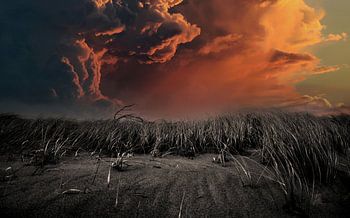 Storm in the dunes