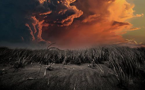 Storm in the dunes