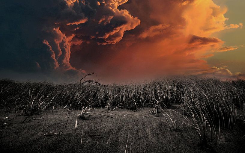 Storm in the dunes by Charles Braam