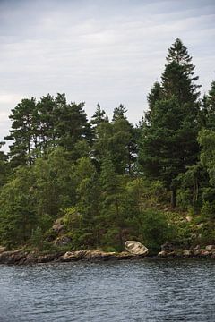 Bootje aan de kust in Noorwegen