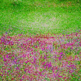 FLUISTEREND VELD van Kelly Durieu