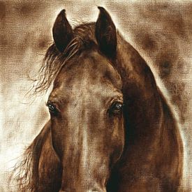 Eine neblige Berührung von einem Pferd so sanft von Paula Collewijn