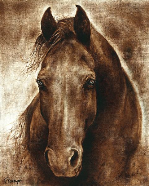 A Misty Touch of A Horse so gentle by Paula Collewijn
