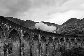 Jacobite steam train by Ellen Zwagerman