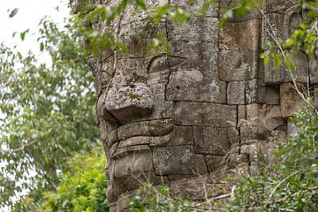 Temple de la jungle Ta Prohm, Angkor Wat sur Richard van der Woude