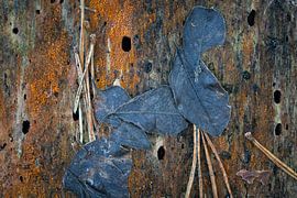 dying wood as source of life by Peter Smeekens