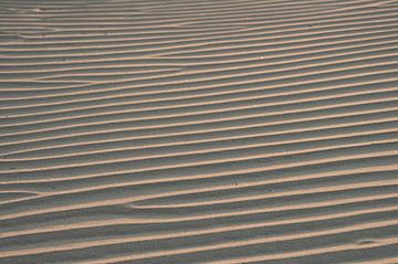 Geribbeld zand op het strand van Michel Knikker