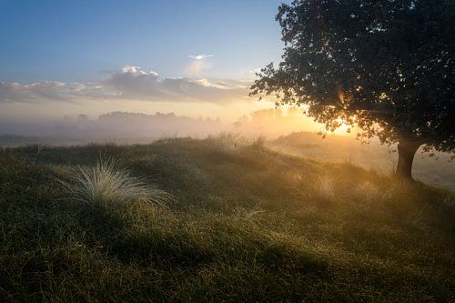 Lever du soleil dans les dunes