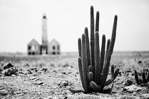 Petit Curaçao sur Linda Hutten