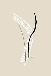 Elegante schwarze und weiße Linien