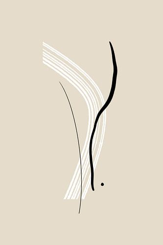 Elegant Black and White Lines