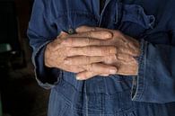 Hands of a farmer by Albert Brunsting thumbnail