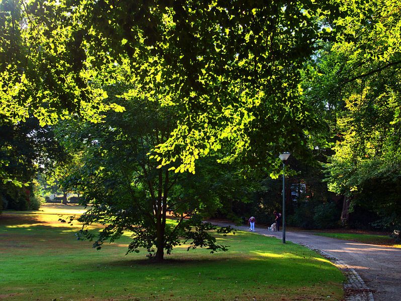 Lumière du matin par Edgar Schermaul