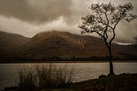 Eine schottische Sichtweise