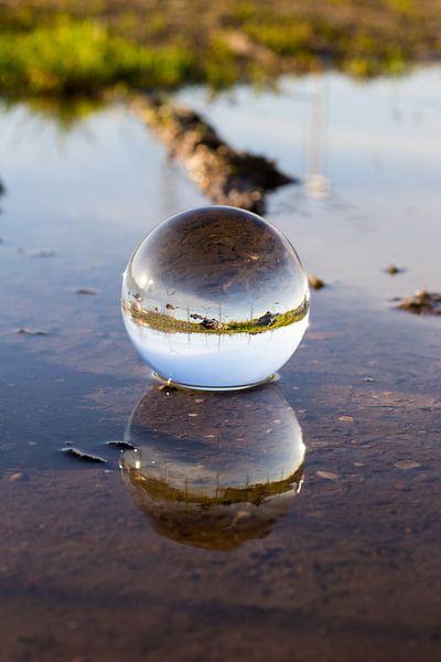 Lensball by sophiimage