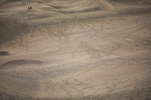 duinen van Maspalomas op Gran canaria