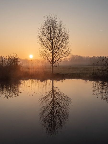 Silentium 2019 by Bart Ceuppens