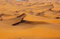 Marokko. Schöner Sonnenuntergang in der Wüste der Sahara. Sanddünen bei Sonnenuntergang. Afrika von Tjeerd Kruse Miniaturansicht