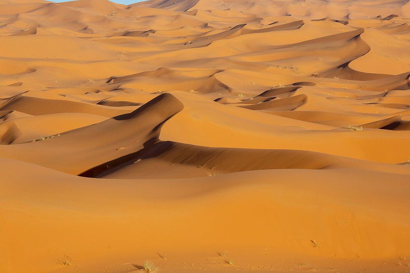 Marokko. Schöner Sonnenuntergang in der Wüste der Sahara. Sanddünen bei Sonnenuntergang. Afrika von Tjeerd Kruse