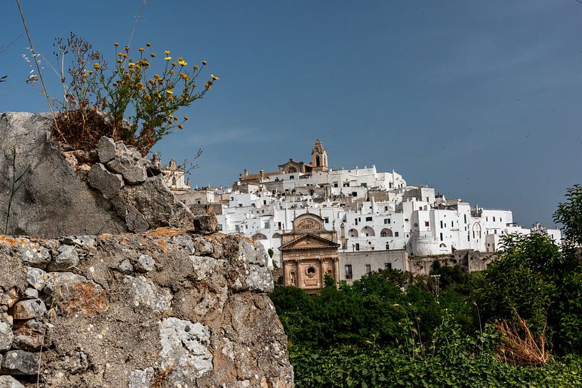 View of Ostuni by Alex Neumayer