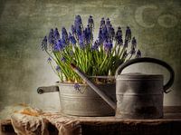 Still life 40