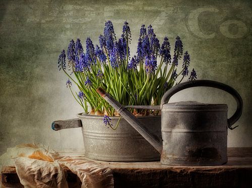Still life 40 by jejaka art