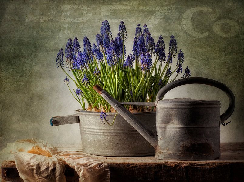 Still life 40 by jejaka art