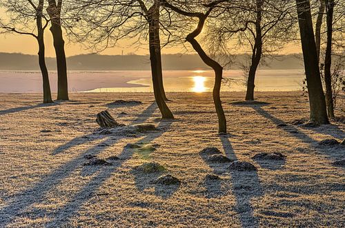 Winter Morning at the Lake