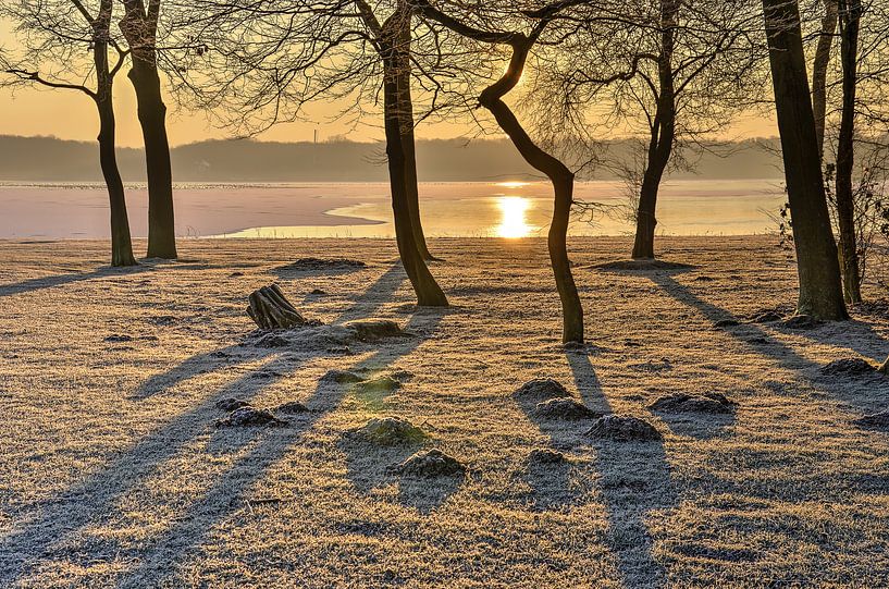 Wintermorgen beim See von Frans Blok