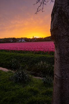 spring sunset by Sebastian Stef