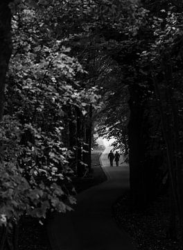 Forest path silhouette couple by Sander van Driel