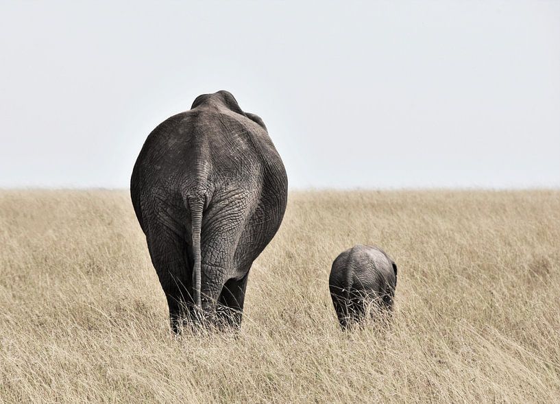 Elephant with little one by Esther van der Linden
