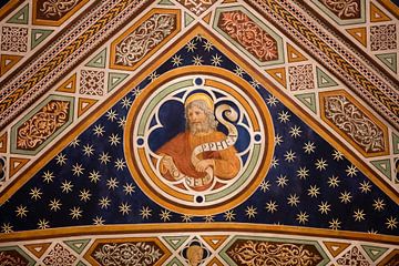 Plafondschildering in de San Martino  Kathedraal van Lucca, Toscane. Italië Toscane, Italië van Joost Adriaanse