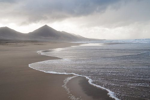 Held by the sea by Romy Oomen
