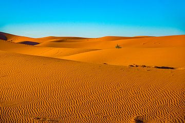 Woestijn Erg Chigaga, Marokko van Jan Fritz