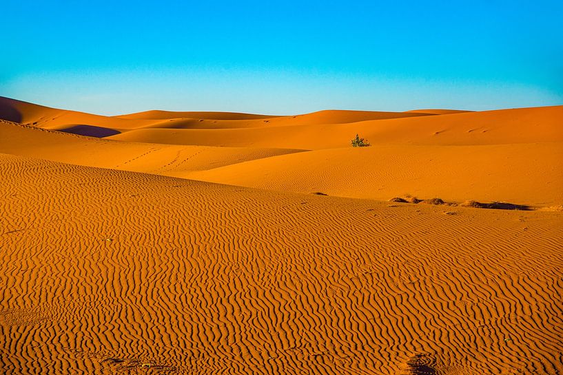 Désert de l'Erg Chigaga, Maroc par Jan Fritz